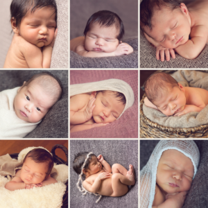 Red Poppy Photography | Do Not Copy