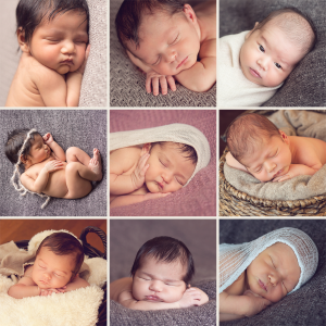 Red Poppy Photography | Do Not Copy