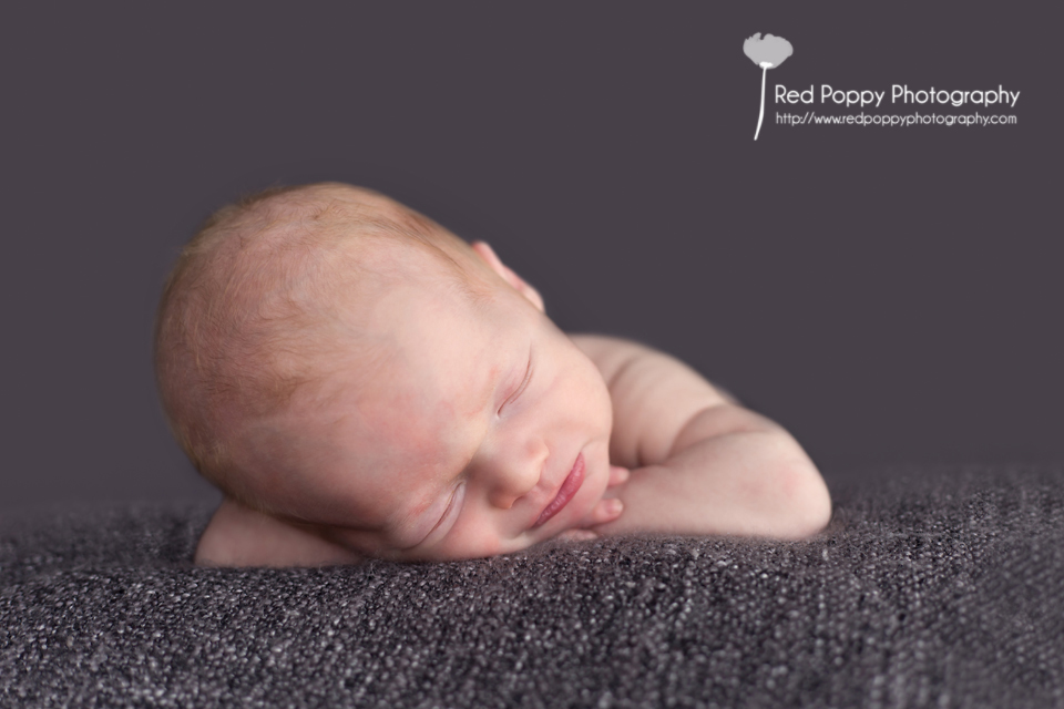 Seattle Newborn Baby Photographer Newborn Photo Session {Grant