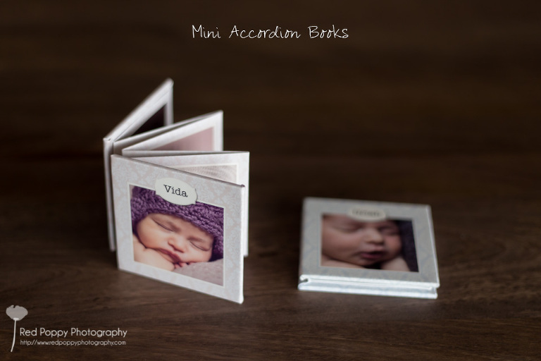 products-mini-accordion-1