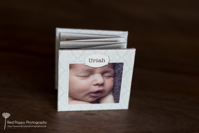 products-mini-accordion-2