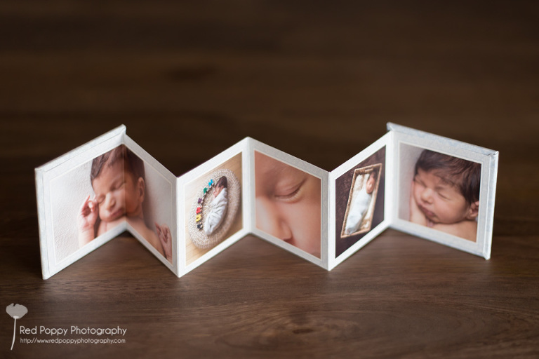 products-mini-accordion-4