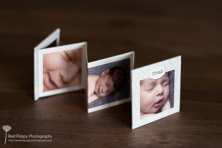 products-mini-accordion-5