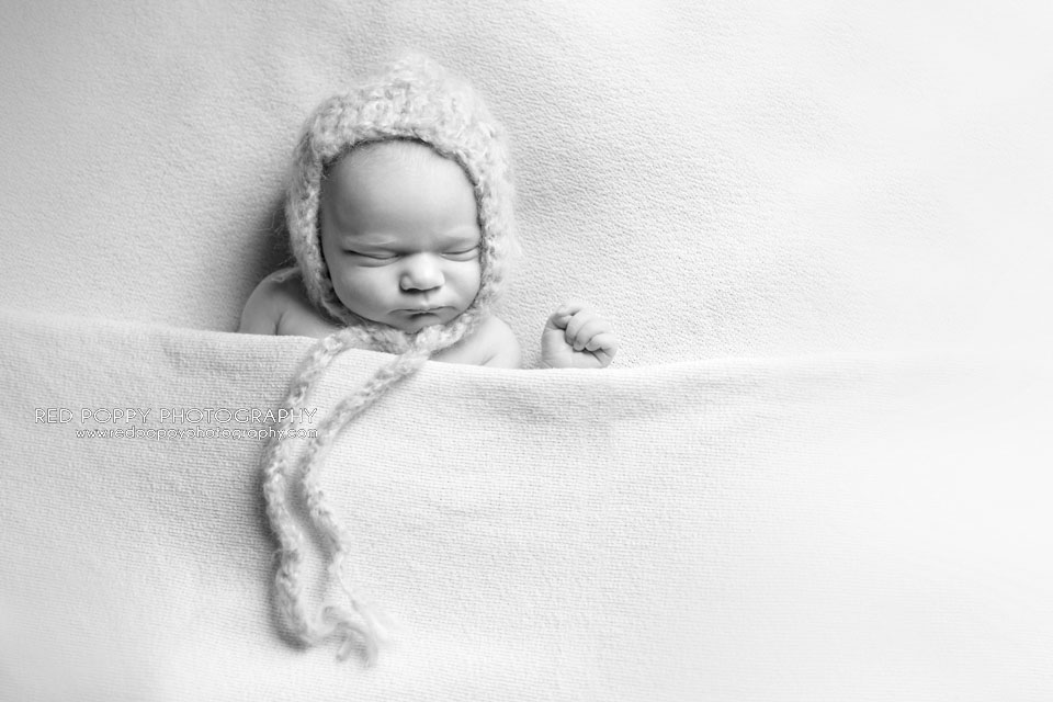 Kirkland Newborn Photographer Newborn Baby Photography Session {Elli