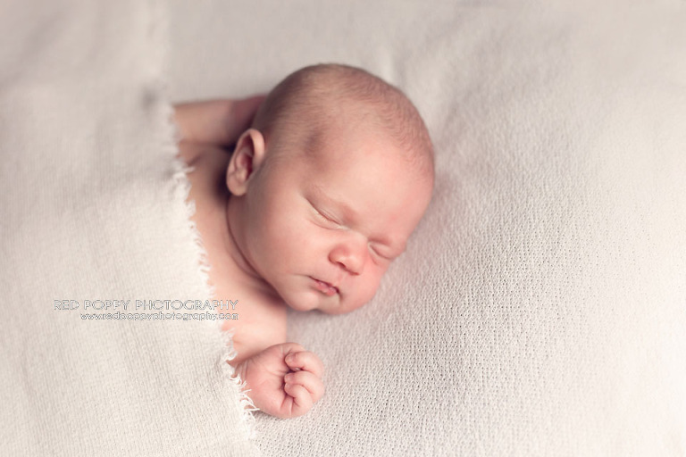 Kirkland Newborn Photographer | Newborn Baby Photography Session {Elli ...