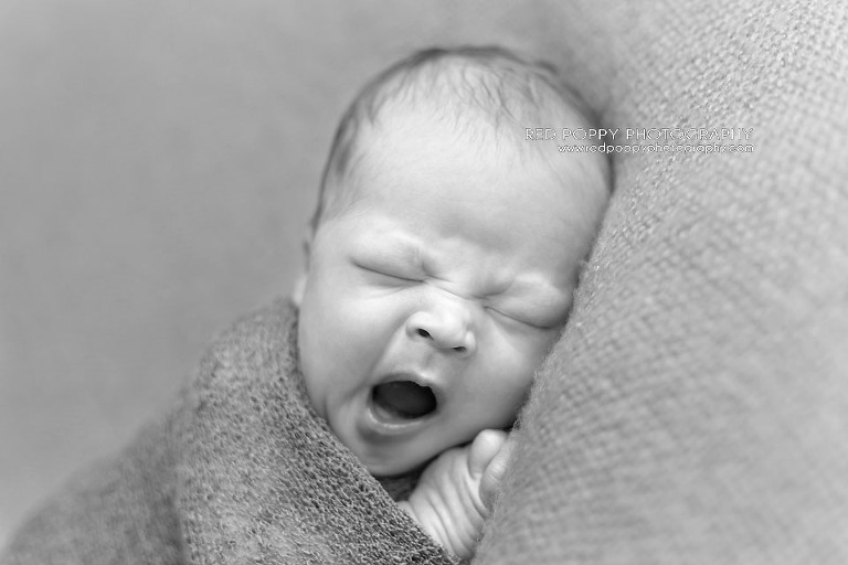 RedPoppyPhotography-Mason-Newborn-01