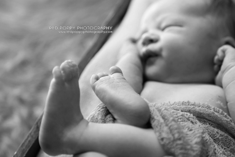 RedPoppyPhotography-Mason-Newborn-06