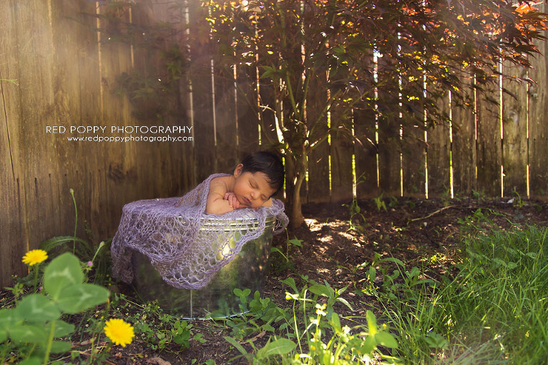 RedPoppyPhotography-Newborn-Seattle-EA-9