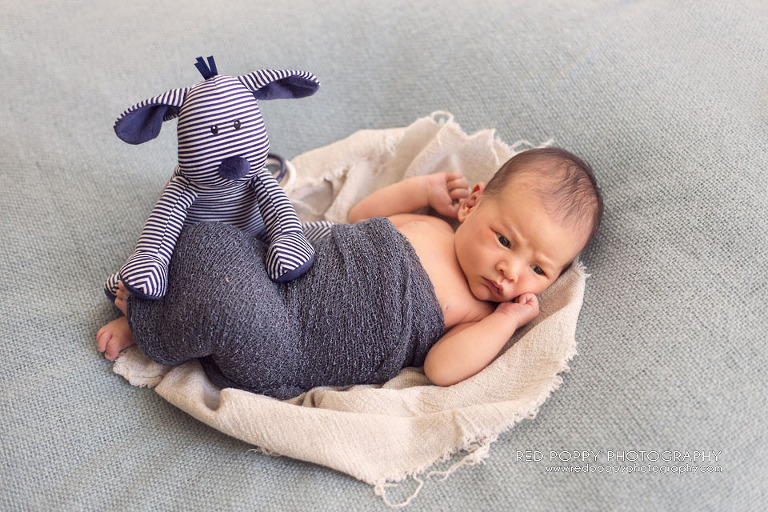 RedPoppyPhotography-Newborn-Seattle-LF-4