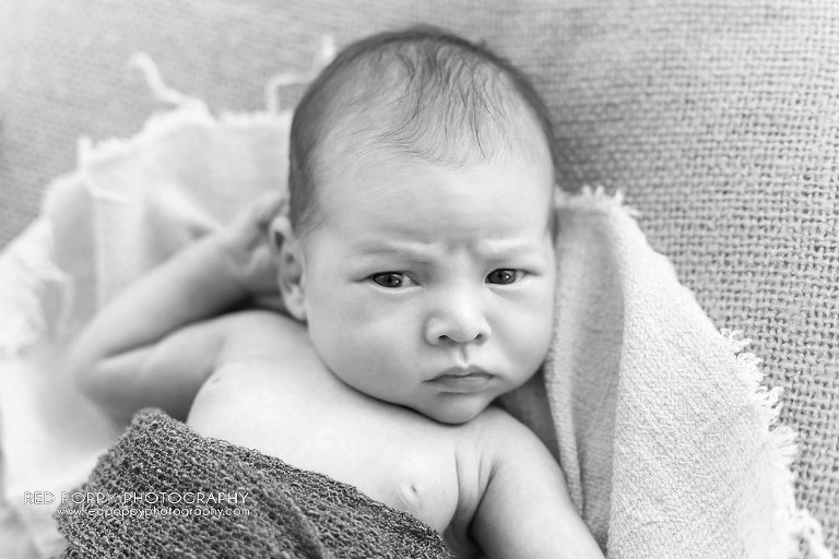 RedPoppyPhotography-Newborn-Seattle-LF-5