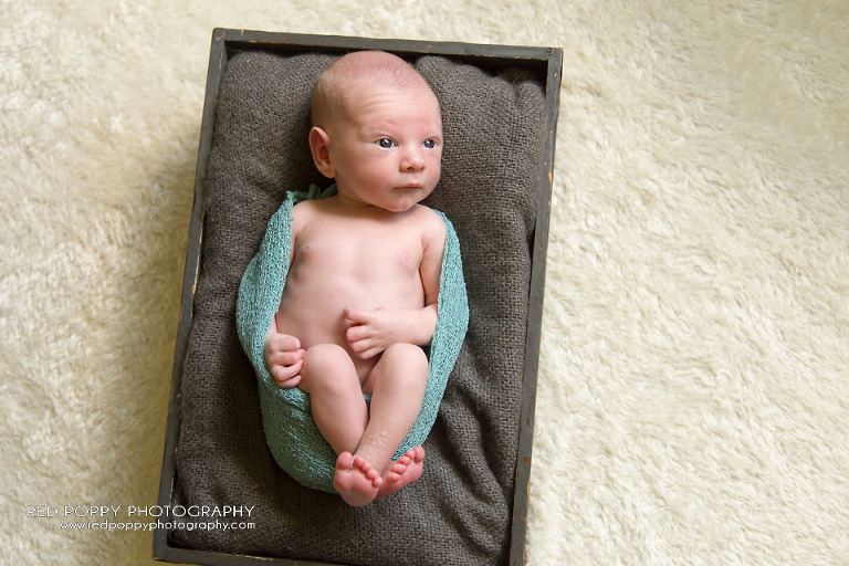 RedPoppyPhotography-Newborn-Seattle-MA-2