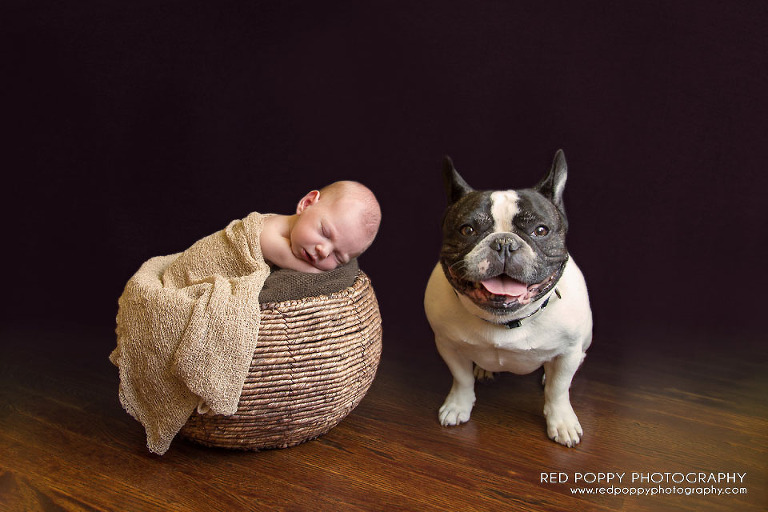 RedPoppyPhotography-Newborn-Seattle-MA-4