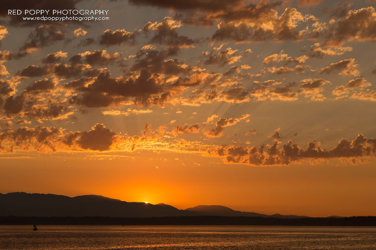 RedPoppyPhotography-Sunset-Golden-Gardens-Seattle-2