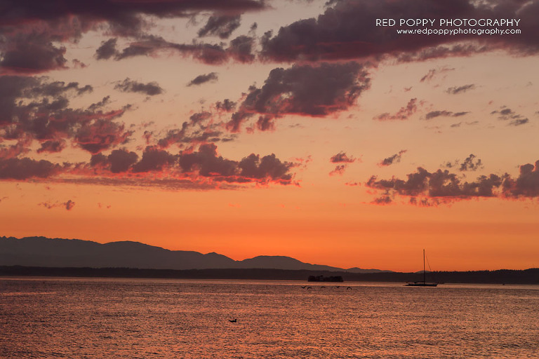 RedPoppyPhotography-Sunset-Golden-Gardens-Seattle-5