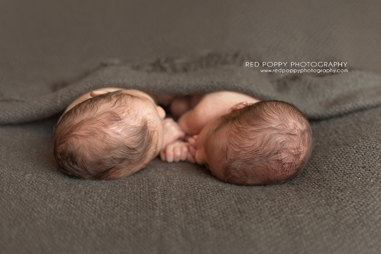 RedPoppyPhotographer_twins_IMG_1108