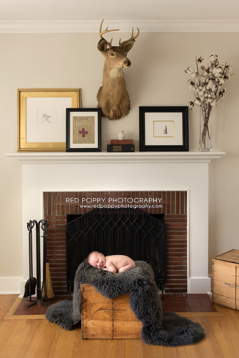 RedPoppyPhotography_newborn_IMG_1762