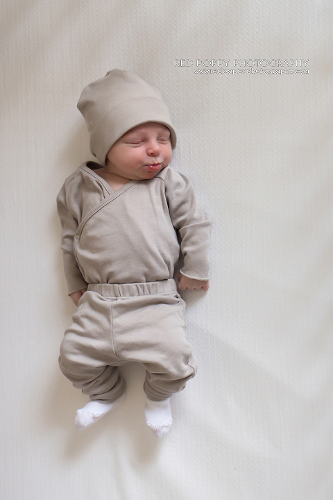 RedPoppyPhotography_newborn_IMG_1884