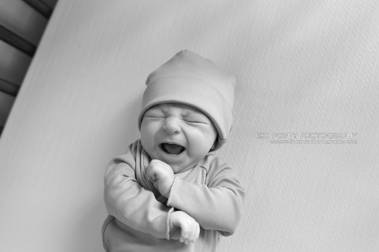 RedPoppyPhotography_newborn_IMG_1893_bw