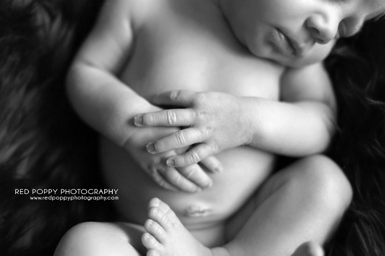 RedPoppyPhotography_newborn_IMG_2195_bw