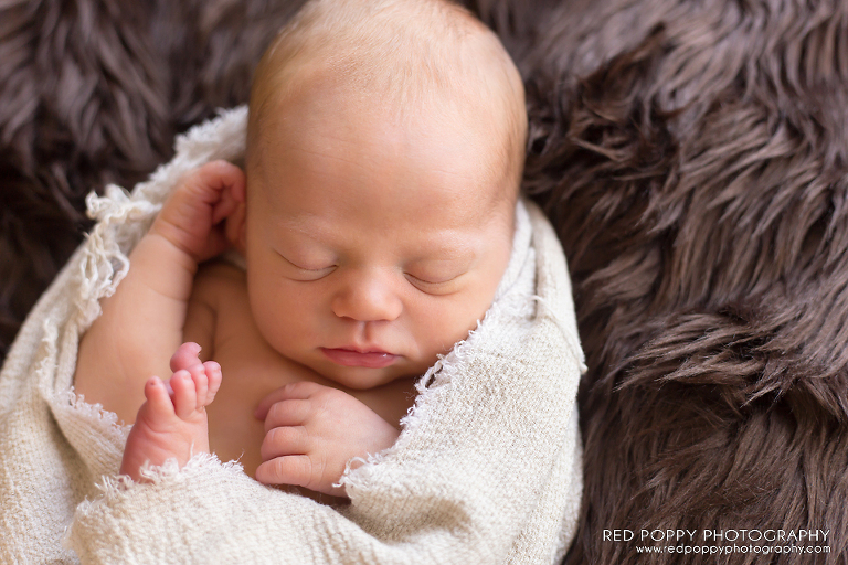 RedPoppyPhotography_Nash_IMG_8101