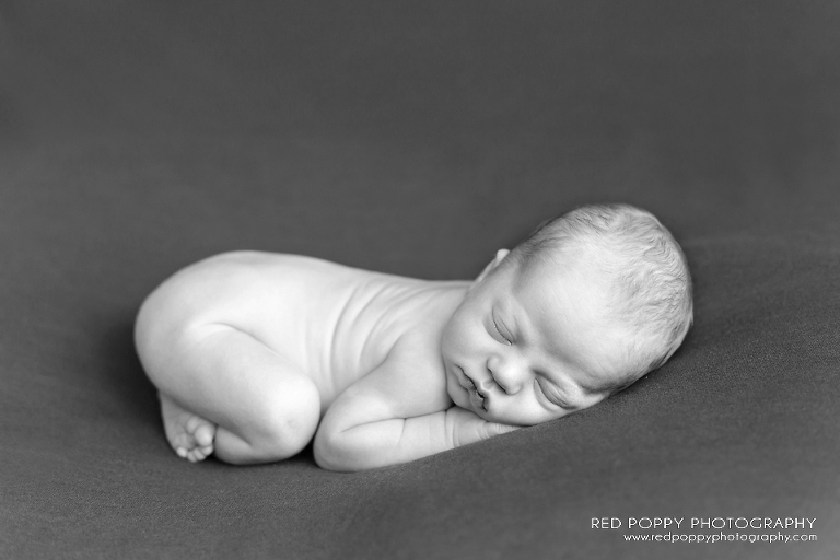 RedPoppyPhotography_Nash_IMG_8202_bw