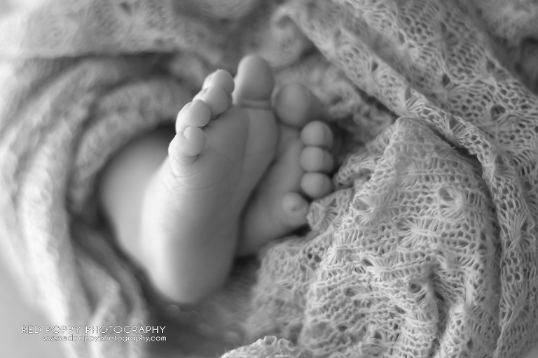 RedPoppyPhotography_Nash_IMG_8408_bw