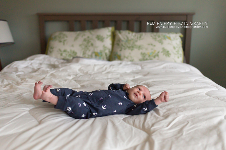 Red Poppy Photography Seattle