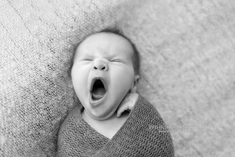 RedPoppyPhotography-Alice_0053425_bw