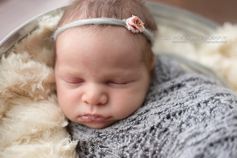 RedPoppyPhotography-Alice_0423643