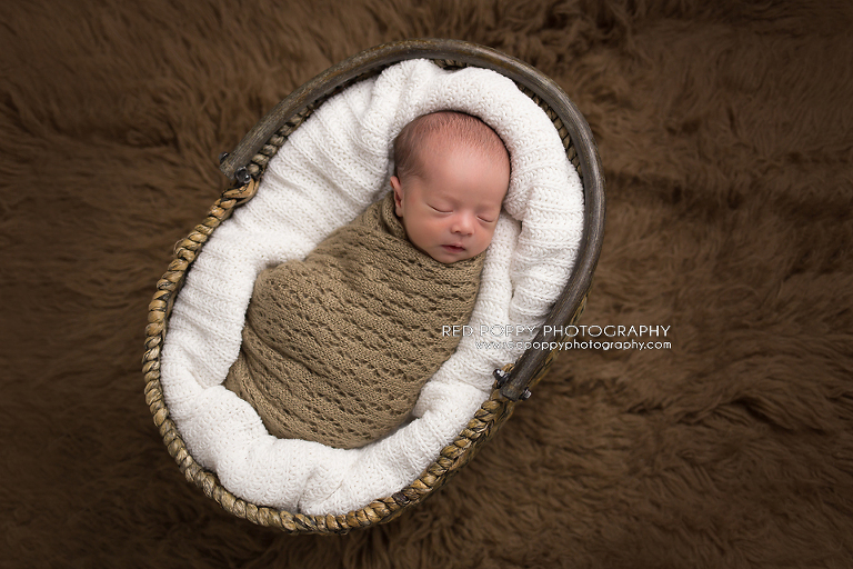 RedPoppyPhotography-Gabriel_0166957